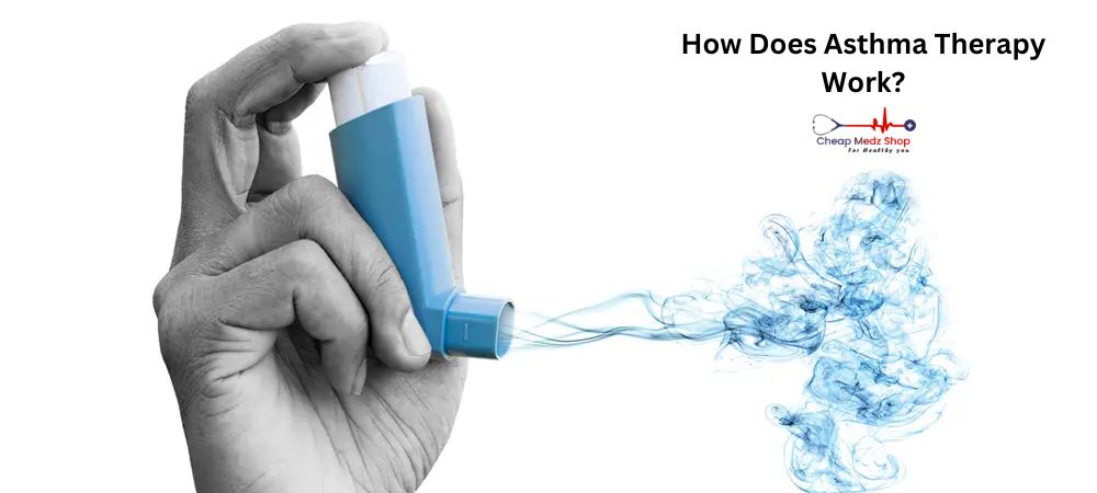 How Does Asthma Therapy Work?