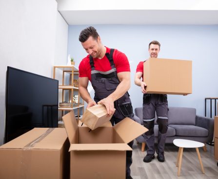 Professional Moving Services in Dagenham