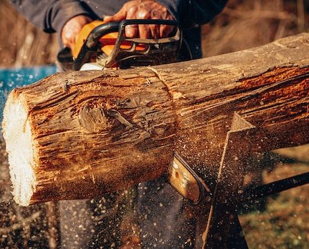 How Do Different Types of Chainsaws Perform in Cold Weather?