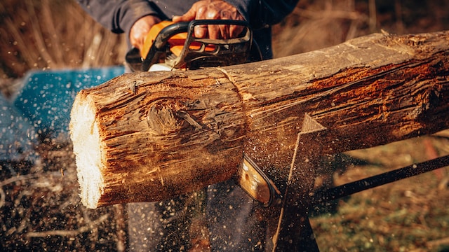 How Do Different Types of Chainsaws Perform in Cold Weather?