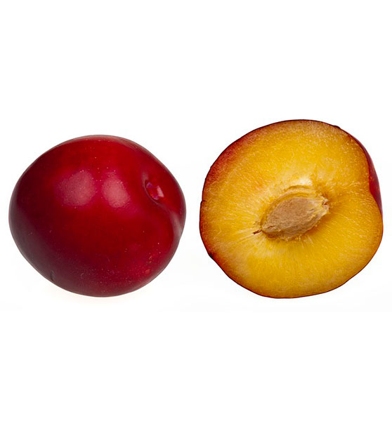 Ciruela Fruit