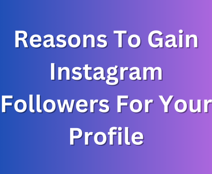 Reasons To Gain Instagram Followers For Your Profile