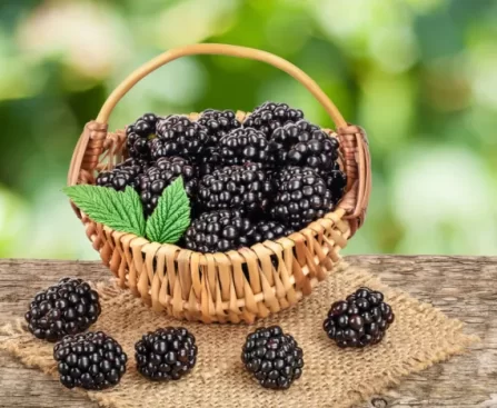 Blackberries