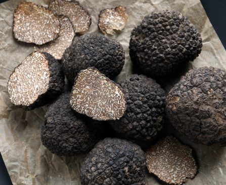 Truffles Have Surprisingly Positive Effects on Health